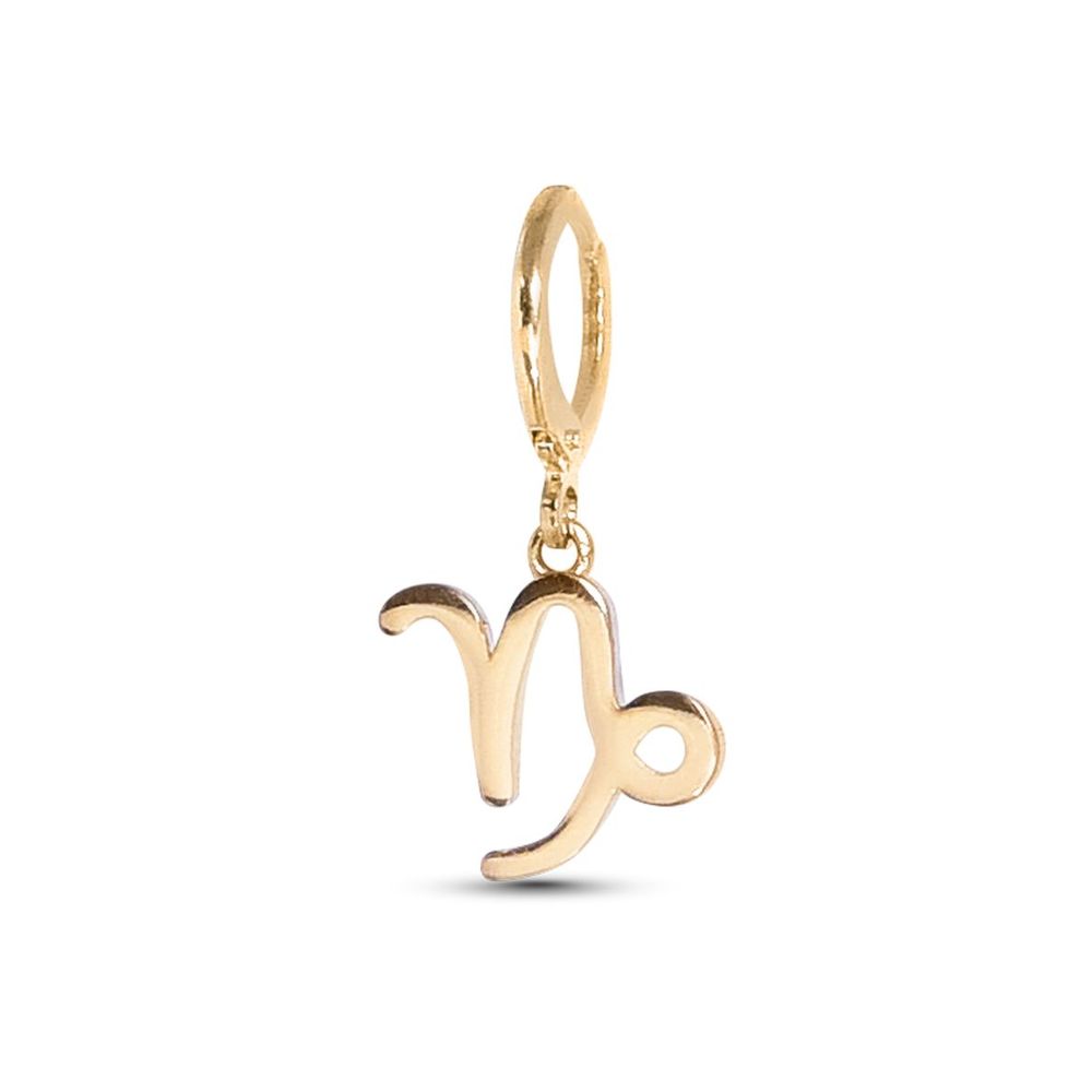 Berloque Signos Dourado Capricornio TU
